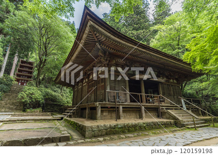女人高野室生寺 本堂(灌頂堂)　奈良県宇陀市室生 120159198