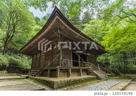 女人高野室生寺 本堂(灌頂堂)　奈良県宇陀市室生 120159199