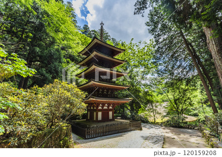 女人高野室生寺 五重塔 奈良県宇陀市室生 女人高野室生寺 五重塔 奈良県宇陀市室生 120159208