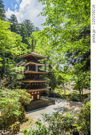 女人高野室生寺 五重塔　奈良県宇陀市室生 120159216