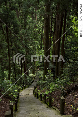 女人高野室生寺 奥之院へ続く参道 奈良県宇陀市室生 女人高野室生寺 奥之院へ続く参道 奈良県宇陀市室生 120159238