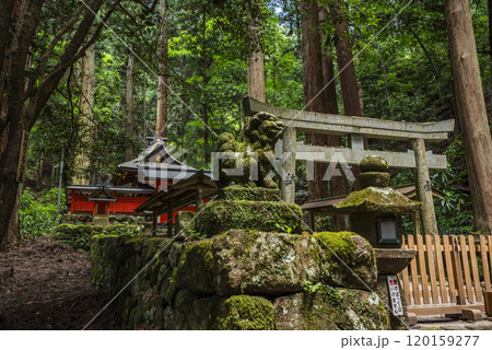 龍穴神社本殿 奈良県宇陀市室生 龍穴神社本殿 奈良県宇陀市室生 120159277