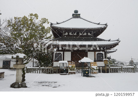 雪の金戒光明寺　納骨堂　京都市左京区黒谷 120159957