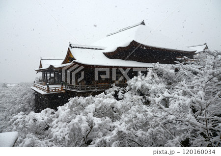 雪の清水寺　本堂　京都市東山区 120160034