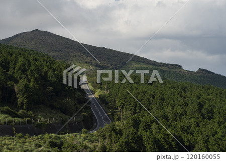 夏の西天城高原線 夏の西天城高原線 120160055