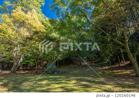 秋の天ケ瀬森林公園風景　京都府宇治市 120160146