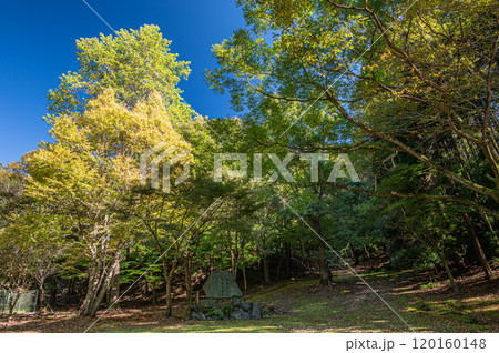 秋の天ケ瀬森林公園風景　京都府宇治市 120160148
