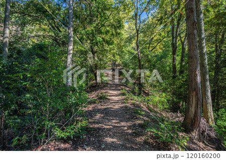 秋の天ケ瀬森林公園風景 京都府宇治市 秋の天ケ瀬森林公園風景 京都府宇治市 120160200