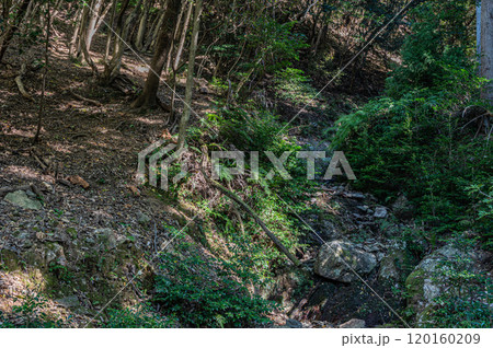 秋の天ケ瀬森林公園風景　京都府宇治市 120160209