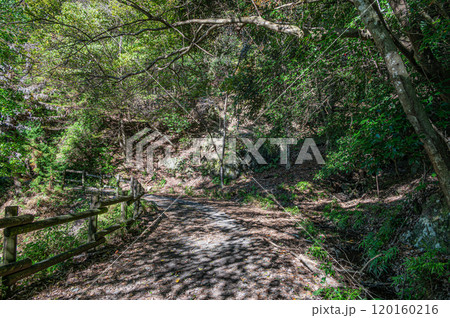 秋の天ケ瀬森林公園風景　京都府宇治市 120160216