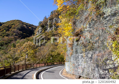 秋の吾妻峡　群馬県吾妻渓谷 120160492