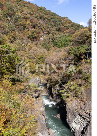 秋の吾妻峡　群馬県吾妻渓谷 120160498
