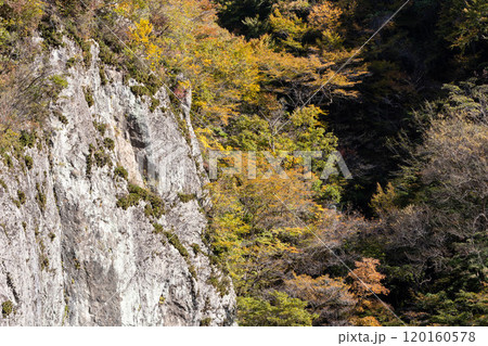 秋の吾妻峡　群馬県吾妻渓谷 120160578