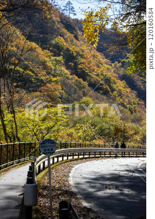 秋の吾妻峡　群馬県吾妻渓谷 120160584