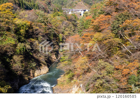 秋の吾妻峡　群馬県吾妻渓谷 120160585