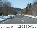 雪が溶けた北海道の冬の森の中の道 120160611
