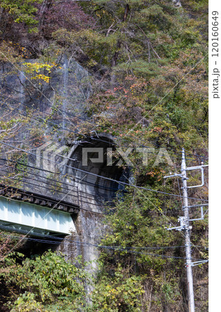 秋の吾妻渓谷　樽沢トンネル　群馬県 120160649