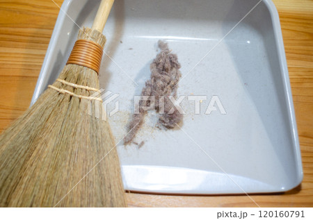 小さな箒で集められた部屋の隅に溜まっていた積年のホコリ 小さな箒で集められた部屋の隅に溜まっていた積年のホコリ 120160791