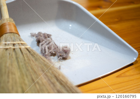 小さな箒で集められた部屋の隅に溜まっていた積年のホコリ 120160795