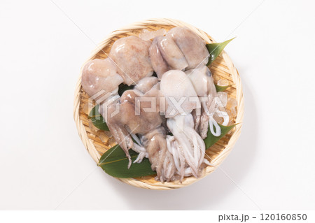 ［山形県　庄内産］ボウズイカ 120160850