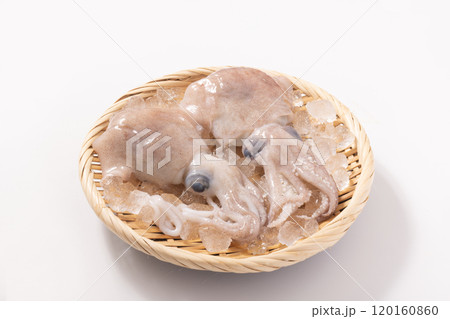 ［山形県　庄内産］ボウズイカ 120160860