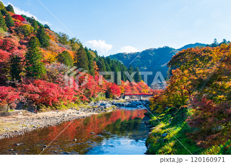 香嵐渓(秋) 香嵐渓(秋) 120160971