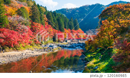香嵐渓(秋) 香嵐渓(秋) 120160985