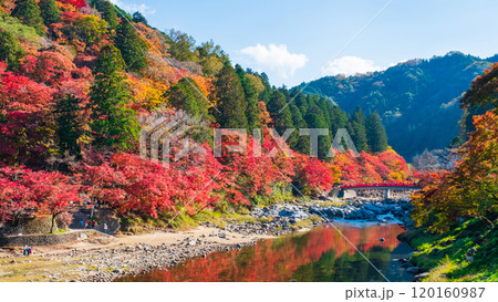 香嵐渓(秋) 香嵐渓(秋) 120160987