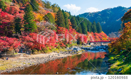香嵐渓(秋) 香嵐渓(秋) 120160988