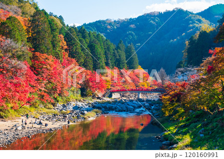 香嵐渓（秋） 120160991