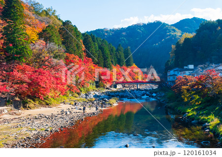 香嵐渓（秋） 120161034