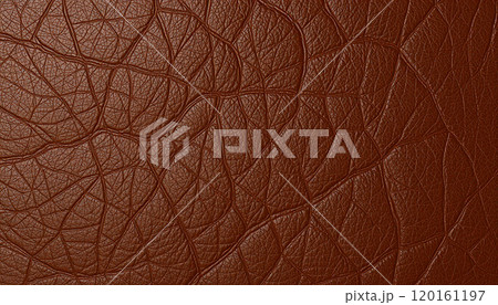 茶色の革のテクスチャー 茶色の革のテクスチャー 120161197