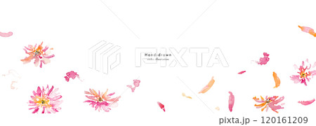 水彩画。水彩タッチのベクター花背景。手書きのコスモスのイラスト。春のピンクイメージの水彩背景。 120161209