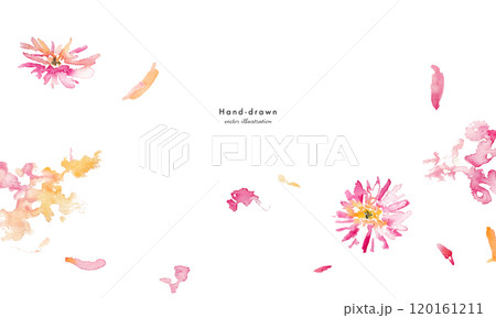 水彩画。水彩タッチのベクター花背景。手書きのコスモスのイラスト。春のピンクイメージの水彩背景。 水彩画。水彩タッチのベクター花背景。手書きのコスモスのイラスト。春のピンクイメージの水彩背景。 120161211