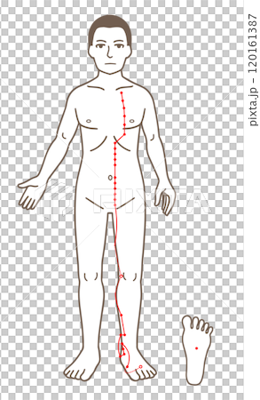 Acupuncture points, foot Shaoyin Kidney meridian, acupressure points illustration 120161387