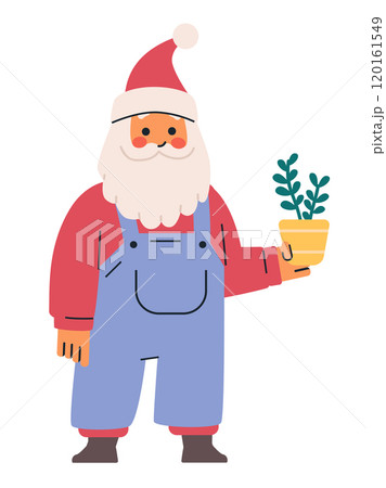 Santa Claus holding potted plant festive scene. Cheerful Santa in red hat and blue overalls holding a yellow pot with green plant 120161549