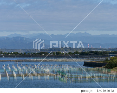 牡蠣養殖棚の杭が並ぶ浜名湖の風景 牡蠣養殖棚の杭が並ぶ浜名湖の風景 120161618