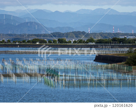 牡蠣養殖棚の杭が並ぶ浜名湖の風景 120161620