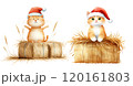 Two adorable orange cats wearing Santa hats sit atop hay bales, embodying a festive holiday spirit. 120161803