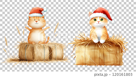 Two adorable orange cats wearing Santa hats sit atop hay bales, embodying a festive holiday spirit. 120161803