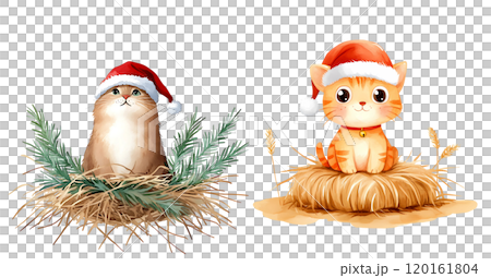 Two adorable orange cats wearing Santa hats sit atop hay bales, embodying a festive holiday spirit. 120161804