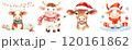 Four festive cows, each adorned with holiday accessories like scarves and Santa hats, radiating a cheerful and playful vibe. 120161862