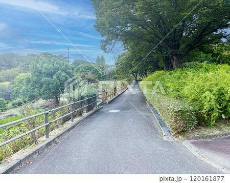 愛知県豊田市にある都市緑化植物園「西山公園」 120161877