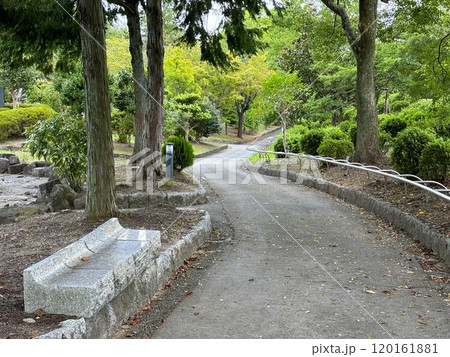 愛知県豊田市にある都市緑化植物園「西山公園」 120161881