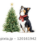 A festive dog sits beside a decorated Christmas tree wearing a red bow, gazing up at a shining star. 120161942