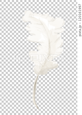 Feather Beige and White Fluffy with Rounded Edges, Watercolor Digital Illustration, Painterly Clipart for Print and Web, Poster, Poster, Invitation, Typography, Juicy and Bright 120161997