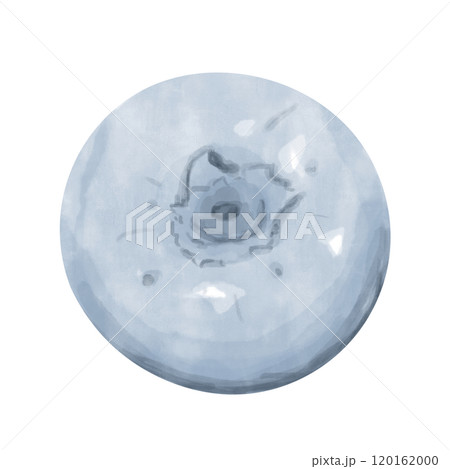 Blueberries or Blueberries, Fruit Top View, Watercolor Digital Illustration, Painterly Clipart for Print and Web, Poster, Card, Poster, Invitation, Typography, Juicy and Bright. 120162000