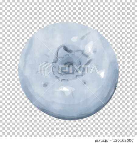 Blueberries or Blueberries, Fruit Top View, Watercolor Digital Illustration, Painterly Clipart for Print and Web, Poster, Card, Poster, Invitation, Typography, Juicy and Bright. 120162000