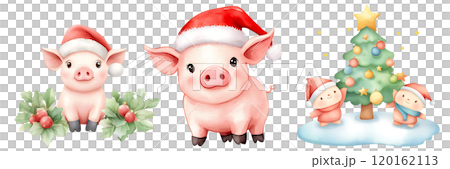 Three cheerful pigs wearing Santa hats, surrounded by festive decorations, including a Christmas tree and holly. 120162113