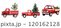Three vintage red trucks carry Christmas trees, showcasing holiday spirit and nostalgia. 120162128